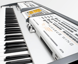 Wersi Pegasus Wing Wersi Pegasus Wing