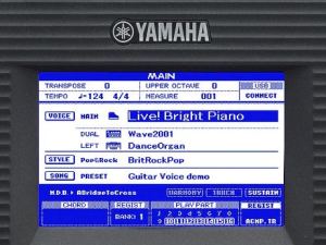 Monitor monocromatico di PSR-S650